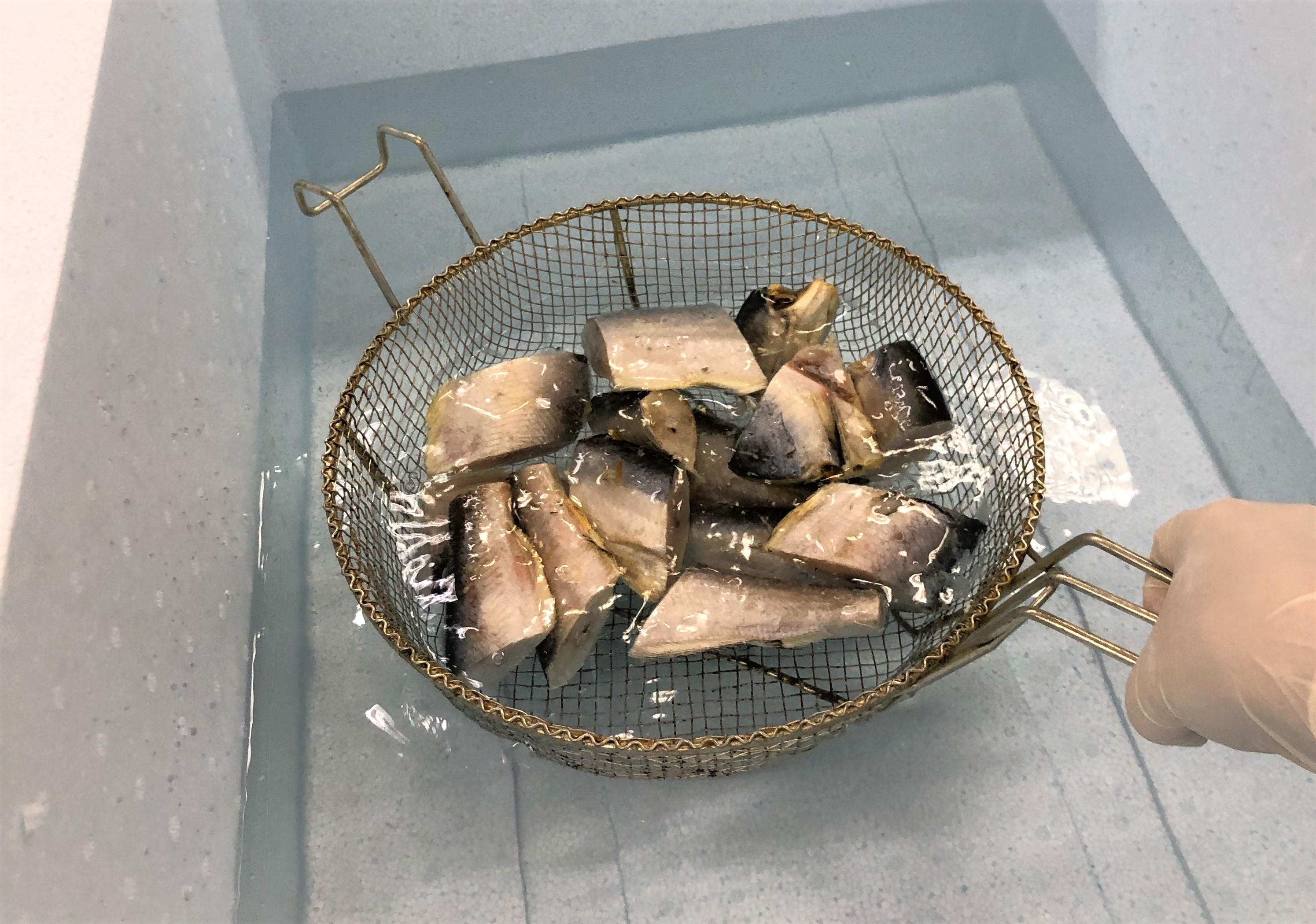 Pescados reprovados após denúncia do PROCON de Toledo