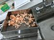 Produtos verificados em Laboratórios do Ipem/PR