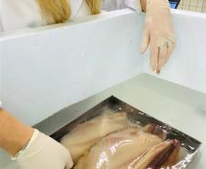 Pescados passam por análise no Laboratório de Cascavel