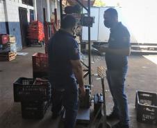 Equipe da REMAR verifica balanças do Ceasa de Maringá