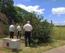 Na área verde da Regional de Maringá