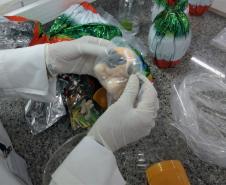 Testes de laboratório do IPEM-PR verificam peso de ovos de Páscoa