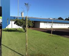 Mudas de árvores foram plantadas na sede da Regional de Cascavel