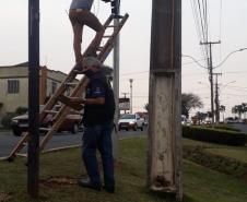 Medidor de velocidade em Guarapuava