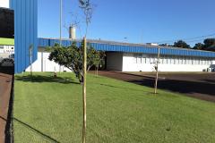 Mudas de árvores foram plantadas na sede da Regional de Cascavel