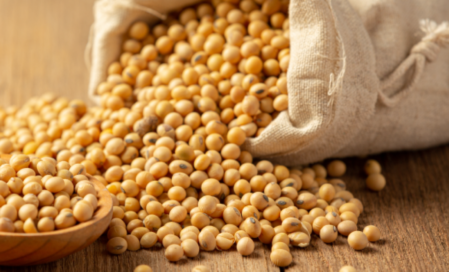 Foto divulgação Inmetro