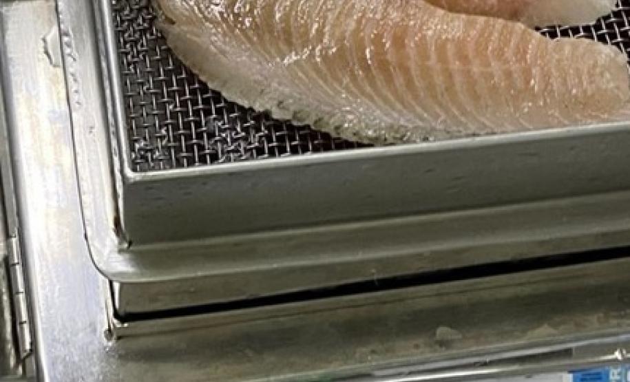 Pescados passam por análise no Laboratório de Cascavel