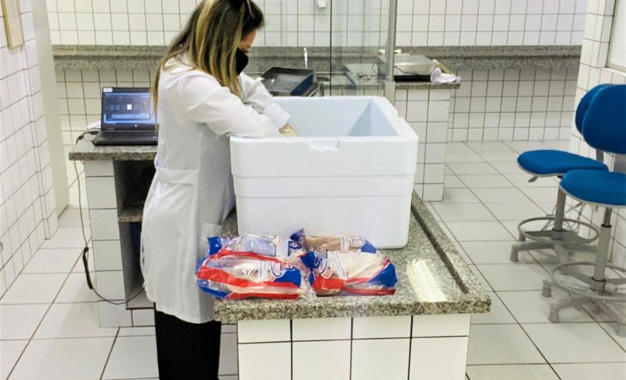 Pescados passam por análise no Laboratório de Cascavel