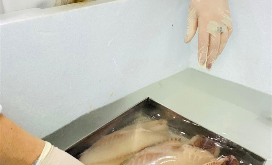 Pescados passam por análise no Laboratório de Cascavel