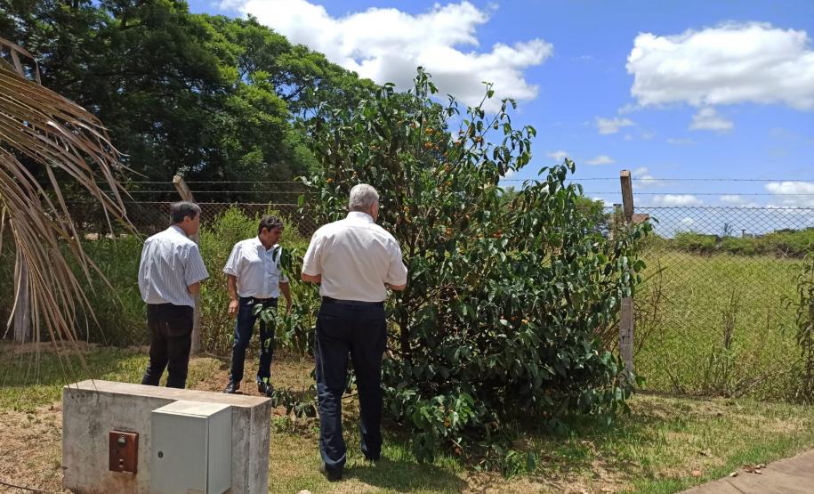 Na área verde da Regional de Maringá