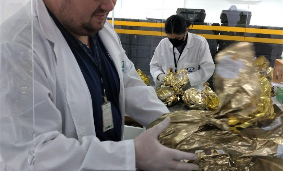 Testes de laboratório do IPEM-PR verificam peso de ovos de Páscoa