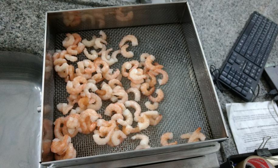 Páscoa Ipem-PR verifica produtos em laboratório