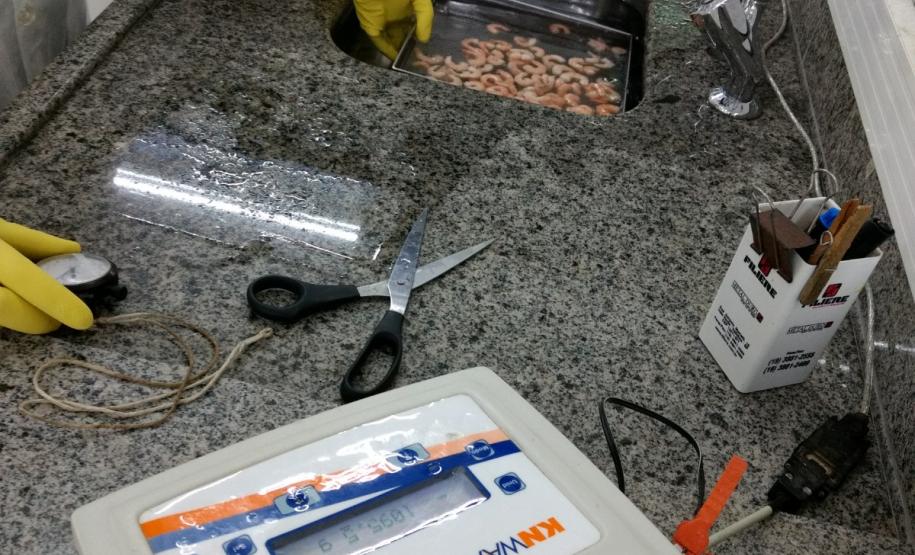 Páscoa 2018 balanço Produtos verificados em Laboratórios do Ipem/PR