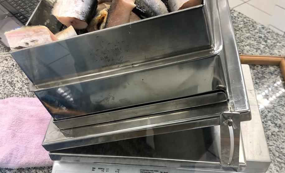 Pescados reprovados após denúncia do PROCON de Toledo
