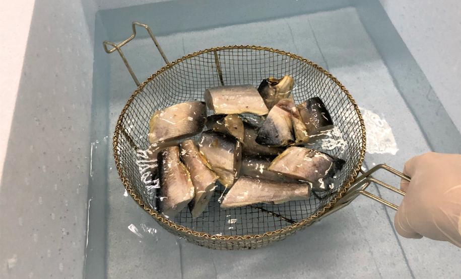 Pescados reprovados após denúncia do PROCON de Toledo