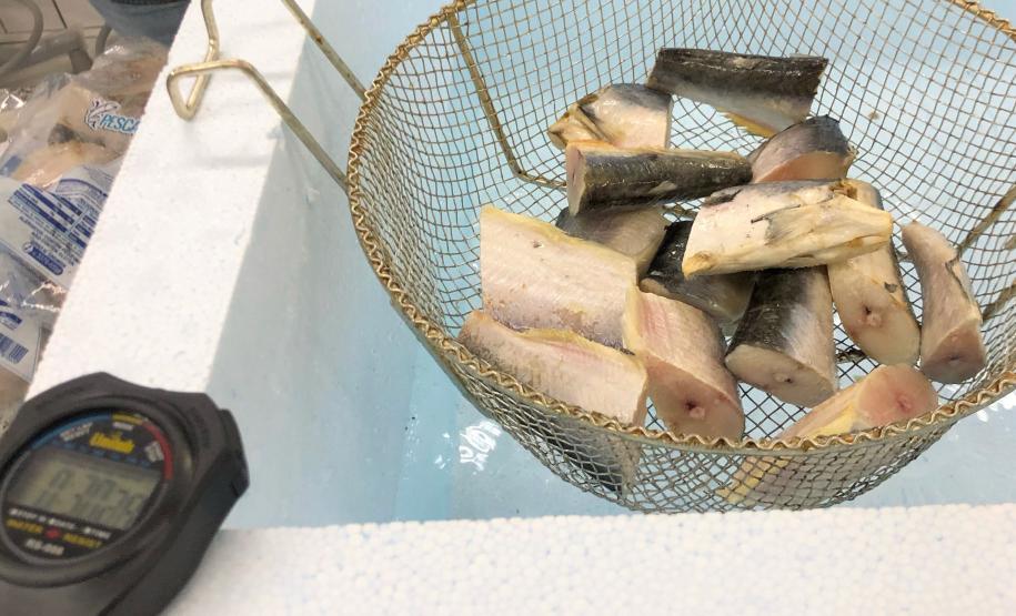 Pescados reprovados após denúncia do PROCON de Toledo