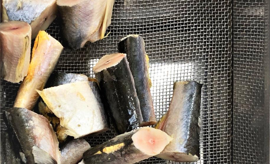 Pescados reprovados após denúncia do PROCON de Toledo