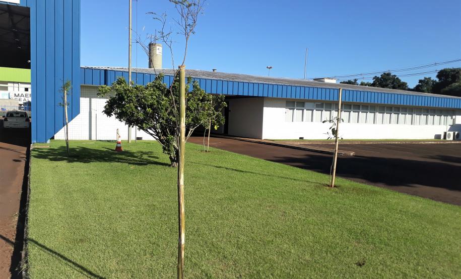Mudas de árvores foram plantadas na sede da Regional de Cascavel