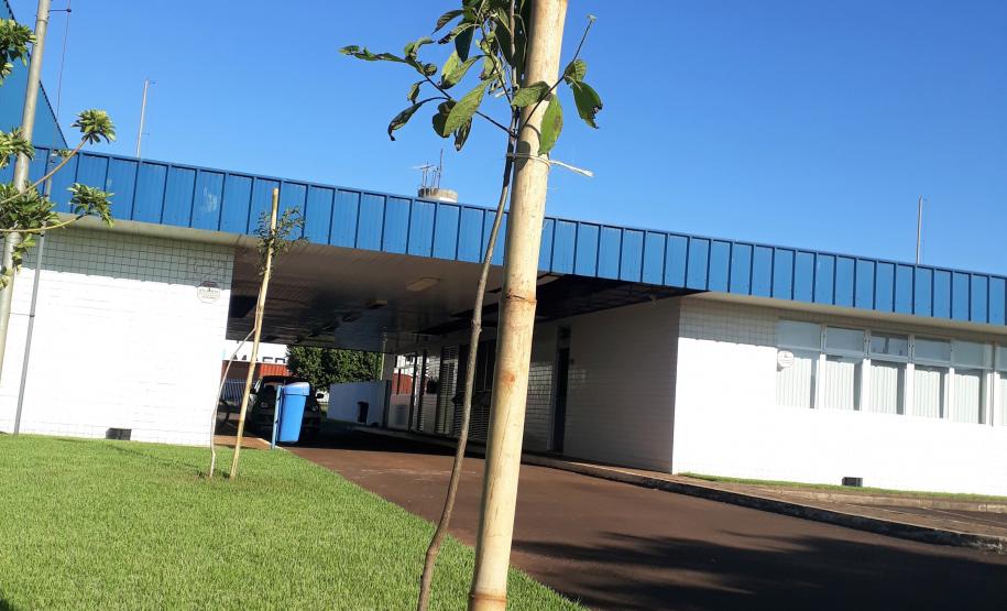 Mudas de árvores foram cedidas pela SEMA