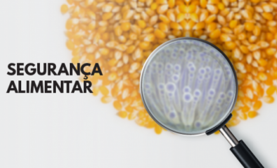 Segurança Alimentar